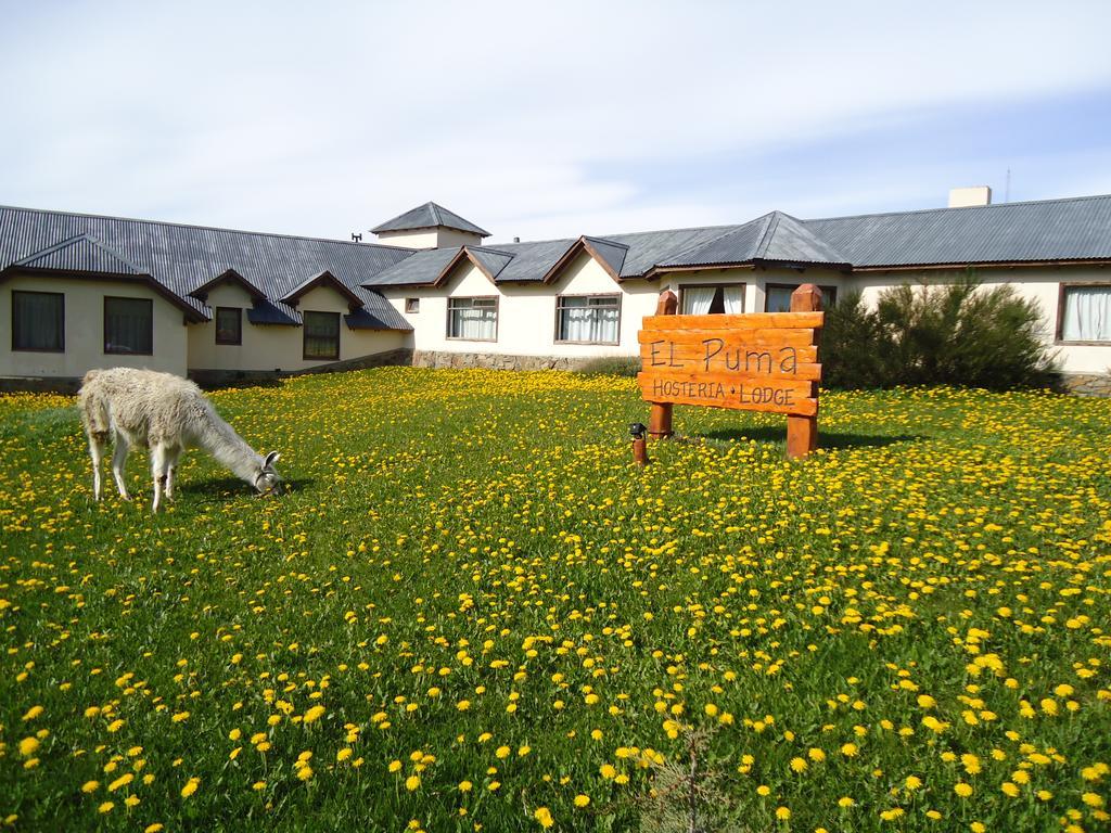Hosteria El Puma El Chalten Bagian luar foto
